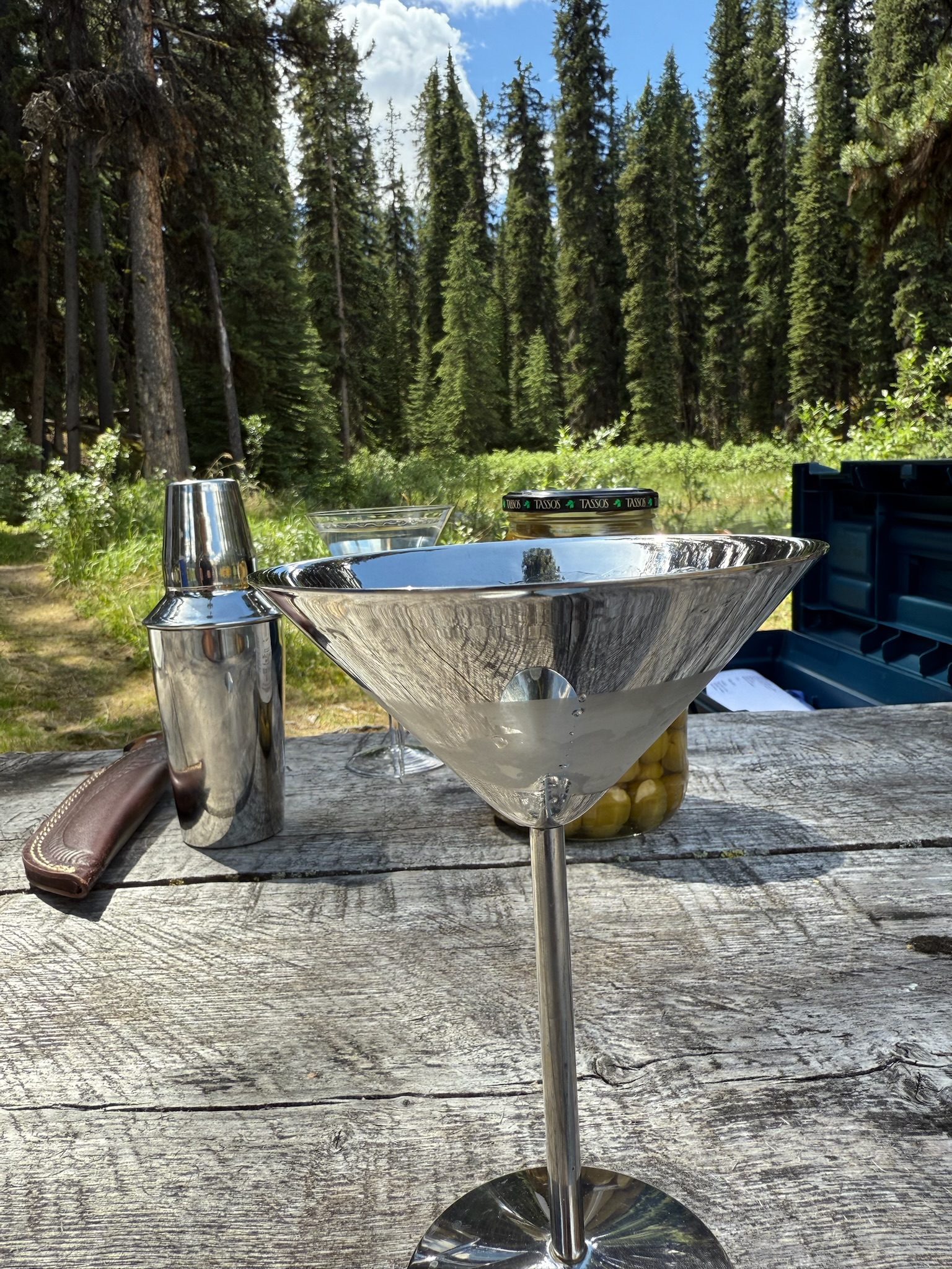 Waterside moments, guided fishing trip, Jasper National Park