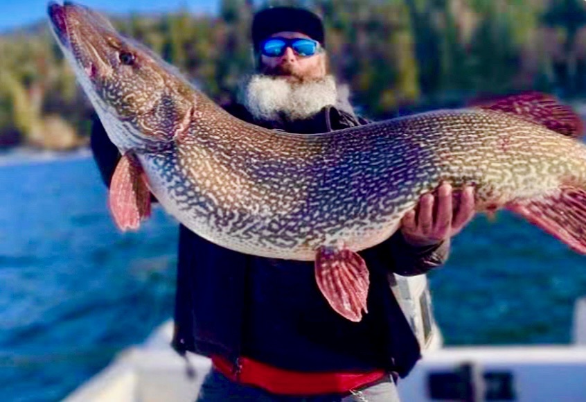 Bearded man holding massive trophy northern pike, Talbot Lake Jasper National Park