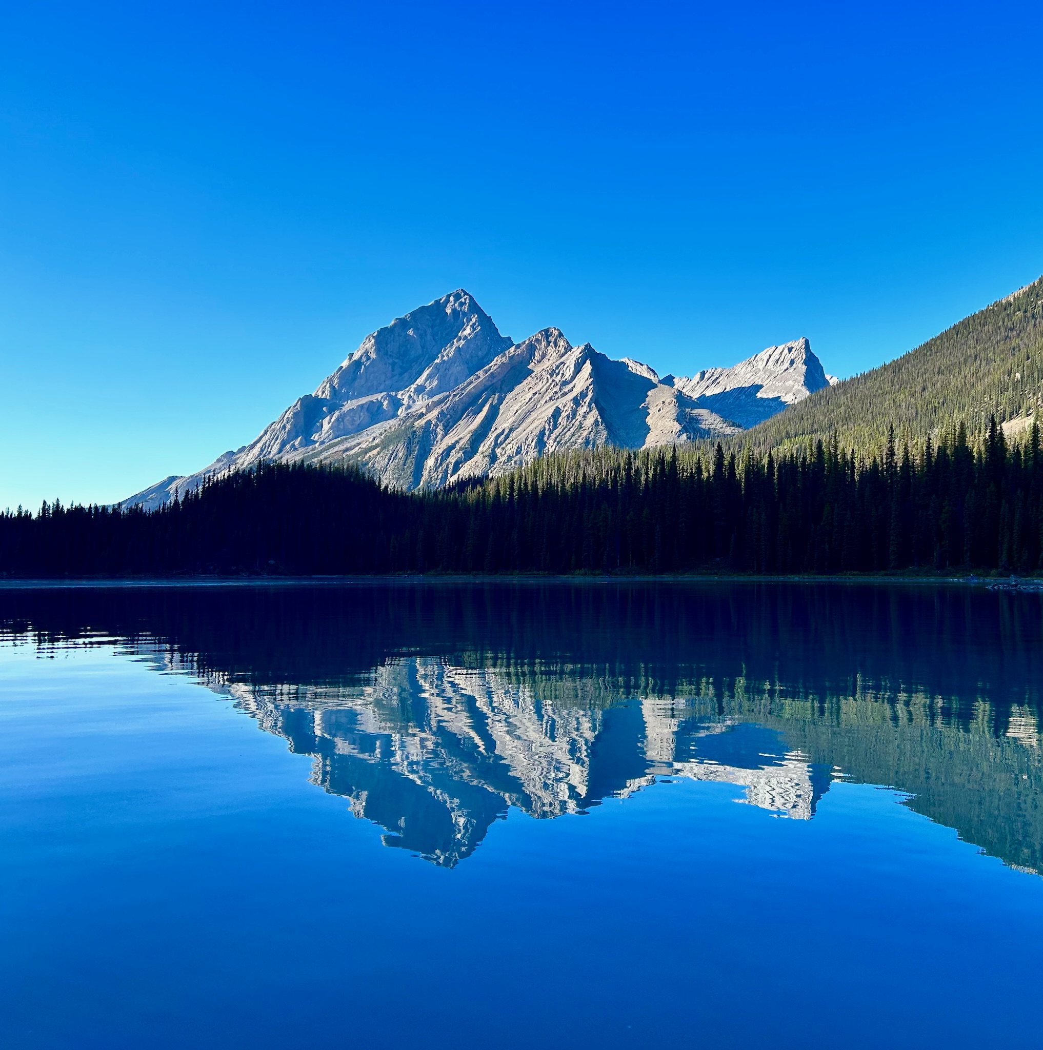 Fly fishing cast, guided trip Maligne Lake, Jasper